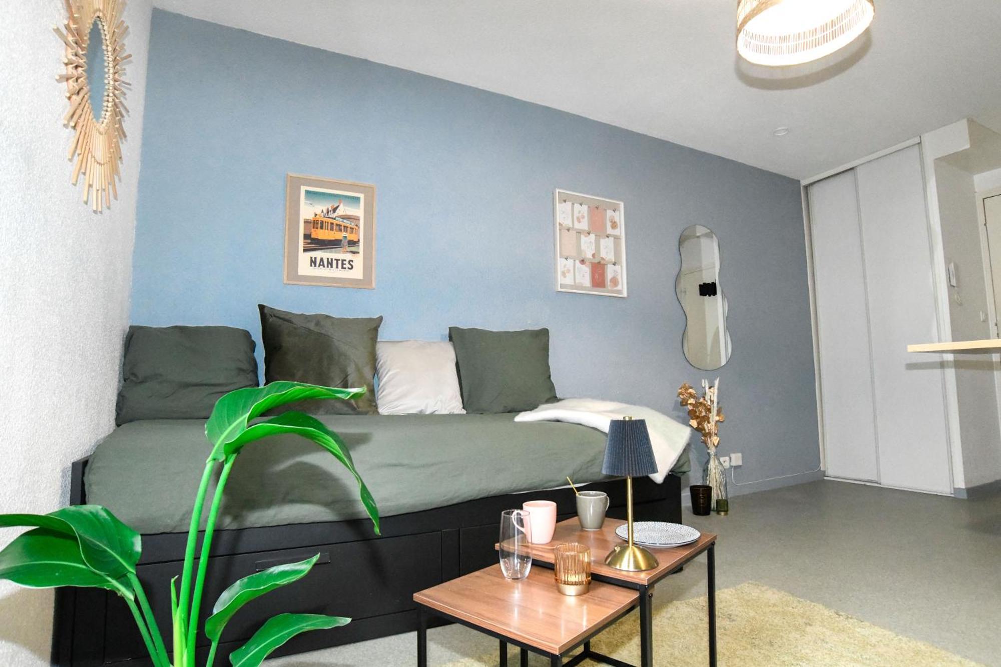 Cosy Cite Des Congres Wifi Fibre Appartement *